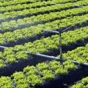 سیستم ابیاری هوشمند مزارع منزل